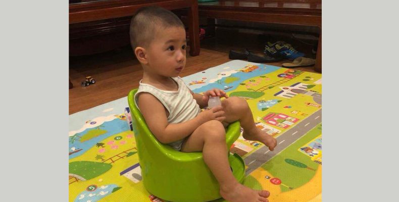boom-potty-review